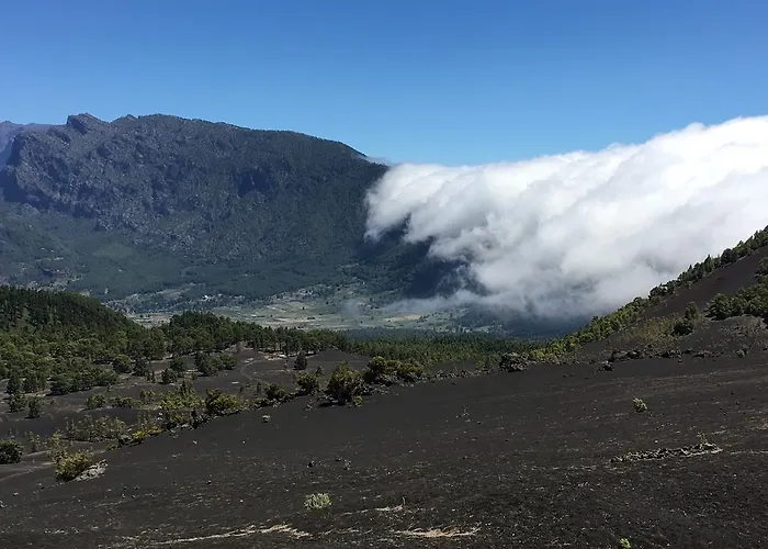 7tierras إل باسو